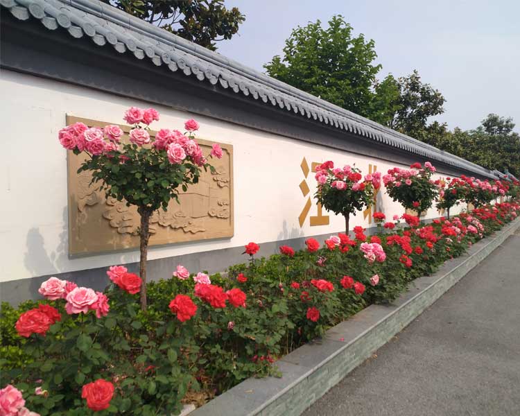 環(huán)境展示